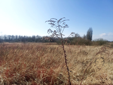 Działka budowlana Mierzyn