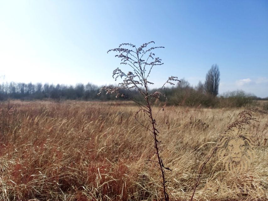 Działka budowlana Mierzyn