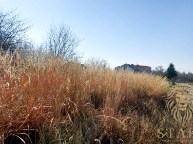 Działka budowlana Mierzyn