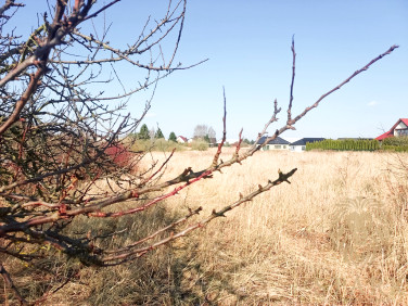Działka budowlana Mierzyn sprzedam