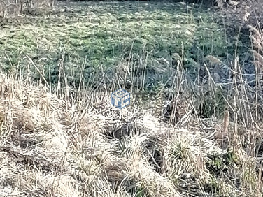 Działka budowlana Kraków sprzedam