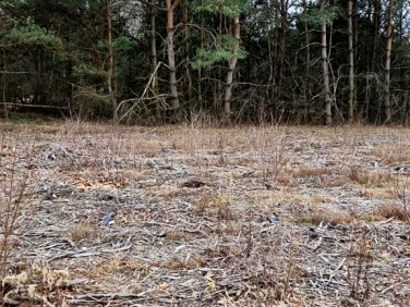 Działka budowlana Many