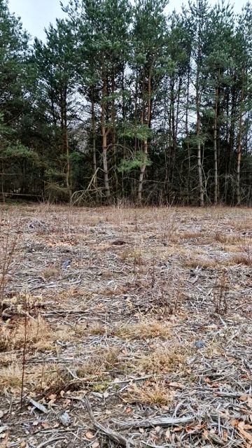 Działka budowlana Many