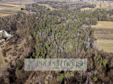 Działka leśna Rogów