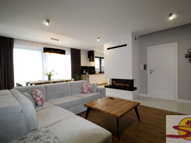 Dom Sołtyków wynajem