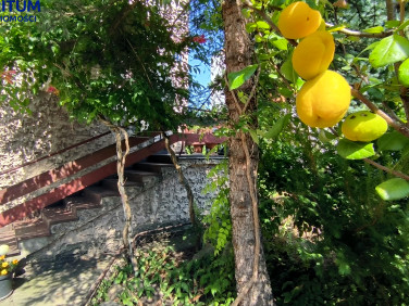 Dom Grodzisk Mazowiecki