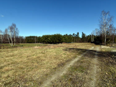 Działka Rakszawa