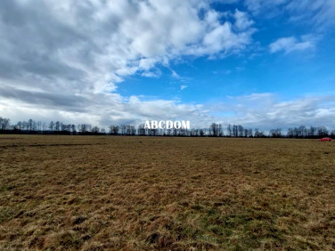 Działka budowlana Cholerzyn