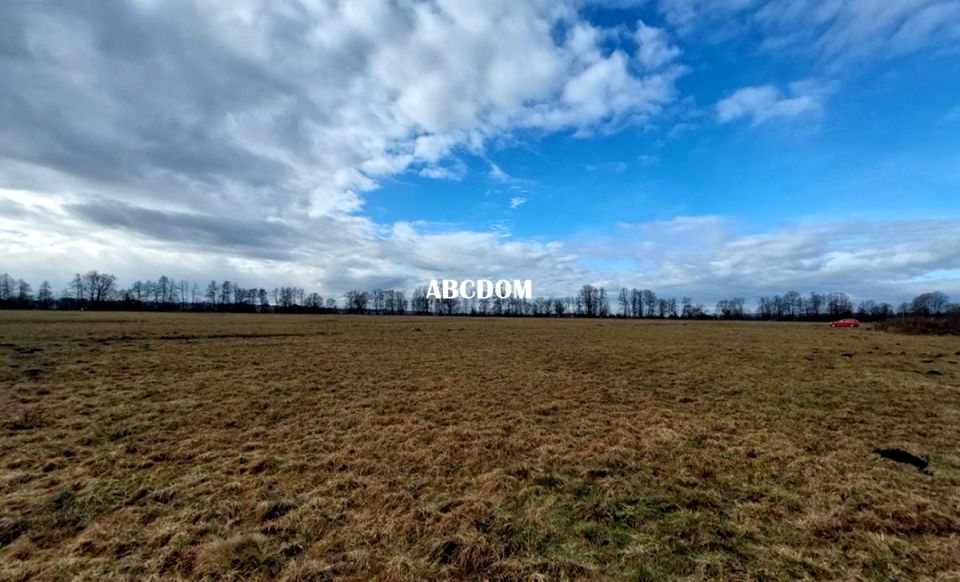 Działka budowlana Cholerzyn