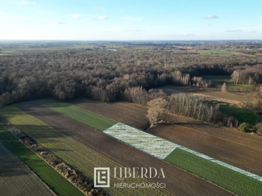 Działka rolna Motycz Leśny