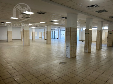 Lokal Wrocław wynajem