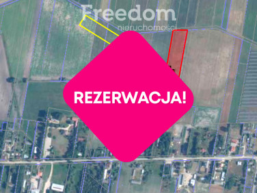 Działka rolna Żeszczynka