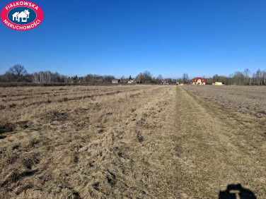 Działka budowlana Aleksandria sprzedam