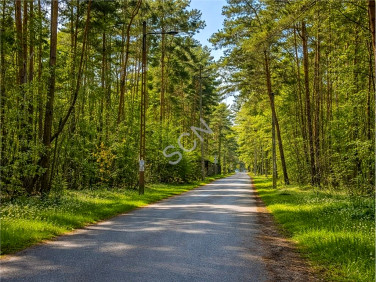 Działka leśna Warszawa sprzedam