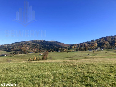 Działka rekreacyjna Brzuśnik