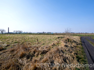 Działka Skarszew