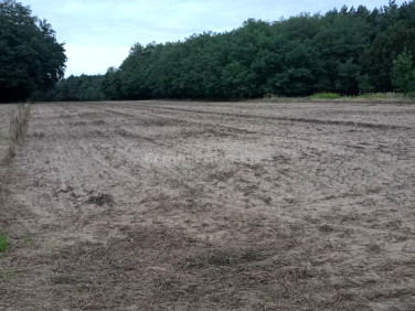 Działka inwestycyjna Tymianka