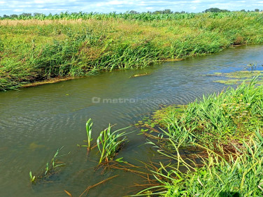 Działka rekreacyjna Ostrów