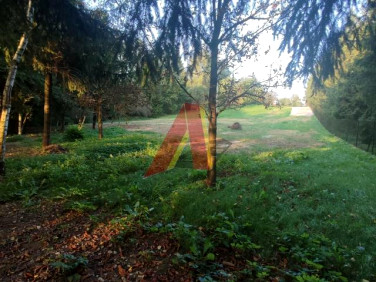 Działka Bolechowice