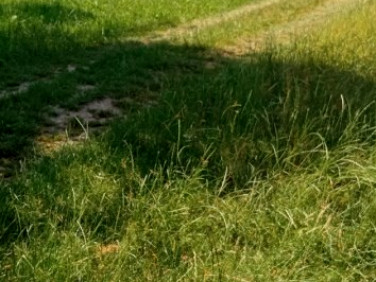 Działka budowlana Wielopole Skrzyńskie