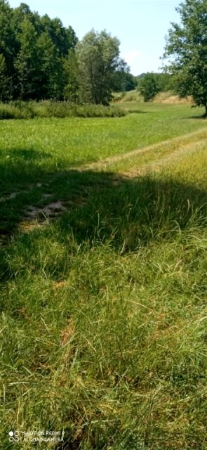 Działka budowlana Wielopole Skrzyńskie