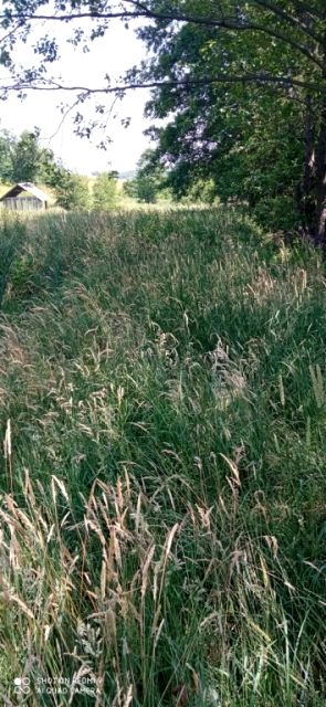 Działka budowlana Wielopole Skrzyńskie