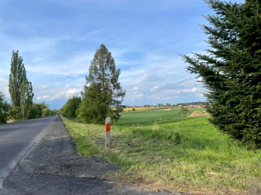 Działka budowlana Hażlach