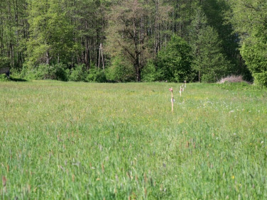 Działka budowlana Turośń Kościelna
