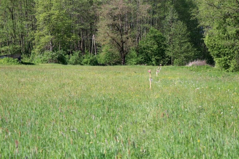 Działka budowlana Turośń Kościelna