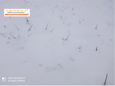 Działka budowlana Rzeszów