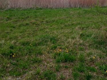 Działka budowlana Trzebownisko