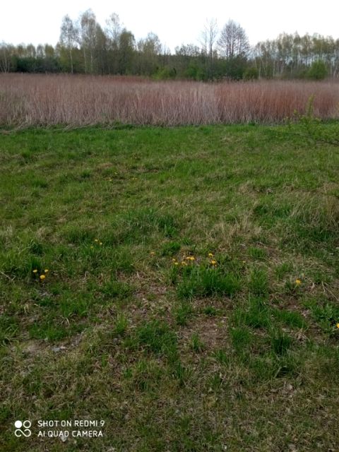 Działka budowlana Trzebownisko