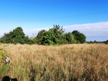 Działka budowlana Czarna