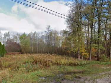 Działka budowlana Sadowa