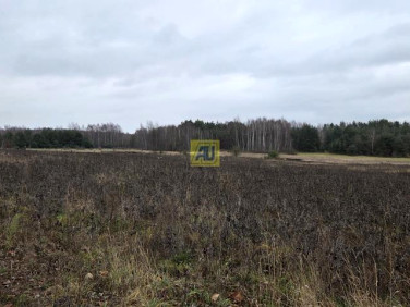 Działka przemysłowa Kazimierzyn