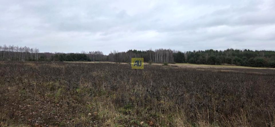 Działka przemysłowa Kazimierzyn