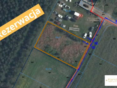 Działka Zalesie Borowe