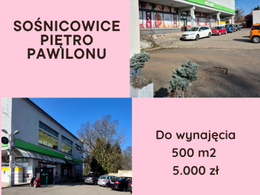Lokal Sośnicowice