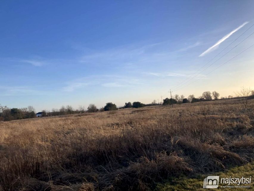 Działka rolna Żarnowo