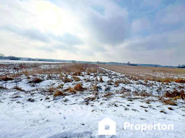 Działka rolna Składów