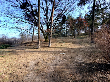 Działka Gdynia