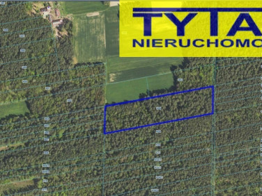 Działka Rogienice Wielkie