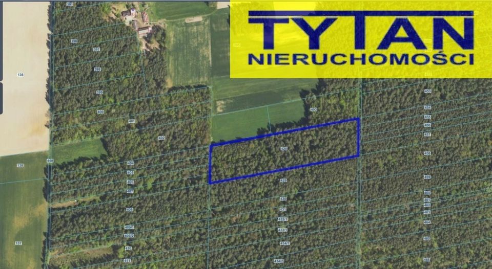 Działka Rogienice Wielkie