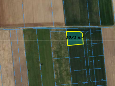 Działka Nowy Bedoń