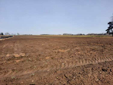 Działka budowlana Nowy Bedoń