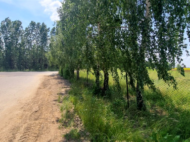 Działka inwestycyjna Radzanowo