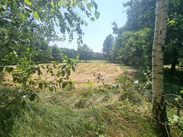 Działka rolna Słupno