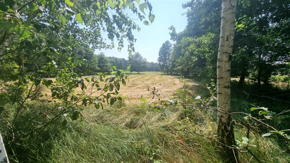 Działka rolna Słupno