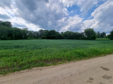 Działka rekreacyjna Bodzanów