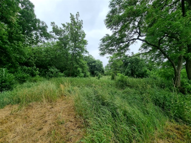 Działka inwestycyjna Gąbin